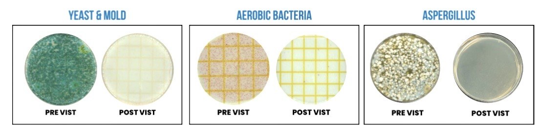 Petri dish results before and after VIST CryoPasteurization for yeast and mold, aerobic bacteria, and aspergillus: heavy growth pre-VIST, clear plates post-VIST
